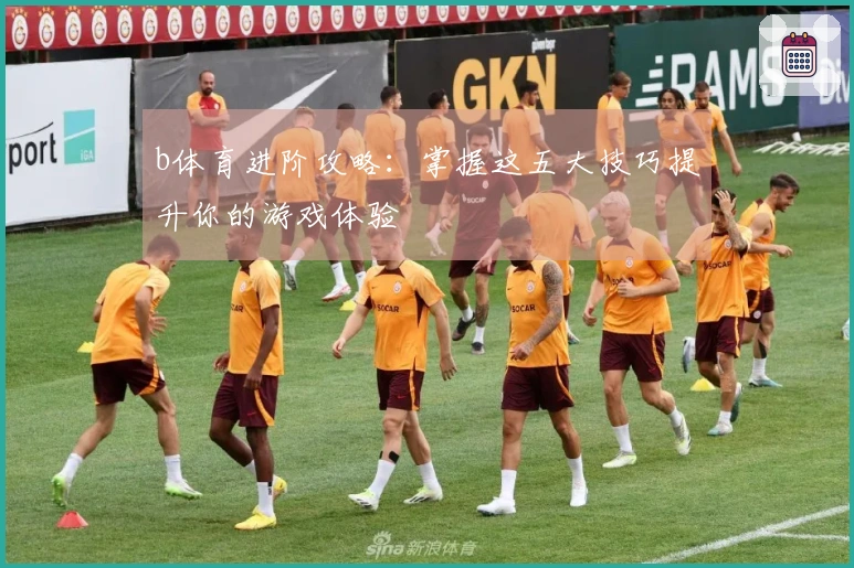 b体育进阶攻略：掌握这五大技巧提升你的游戏体验