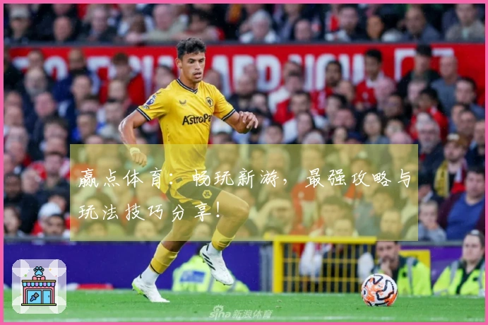 赢点体育：畅玩新游，最强攻略与玩法技巧分享！
